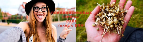 MESCALINE Михайлов