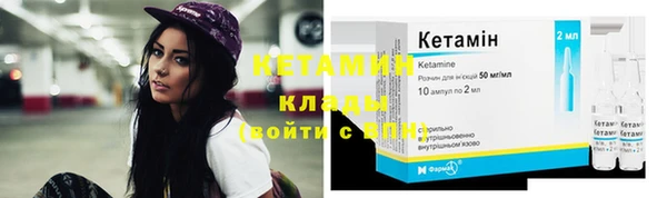 хмурый Белая Холуница