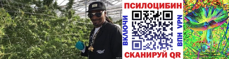 Галлюциногенные грибы мицелий  Каргат 